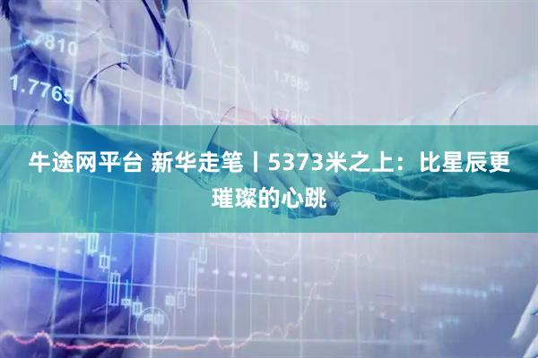 牛途网平台 新华走笔丨5373米之上：比星辰更璀璨的心跳
