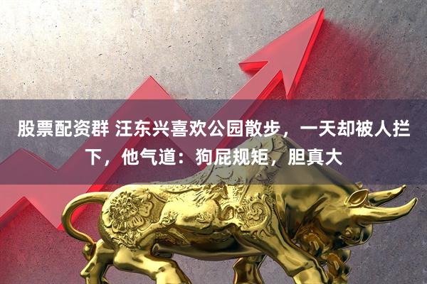 股票配资群 汪东兴喜欢公园散步,一天却被人拦下,他气道:狗屁规矩,胆真大